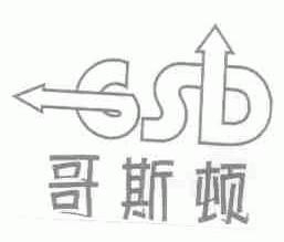 哥斯顿;GSD