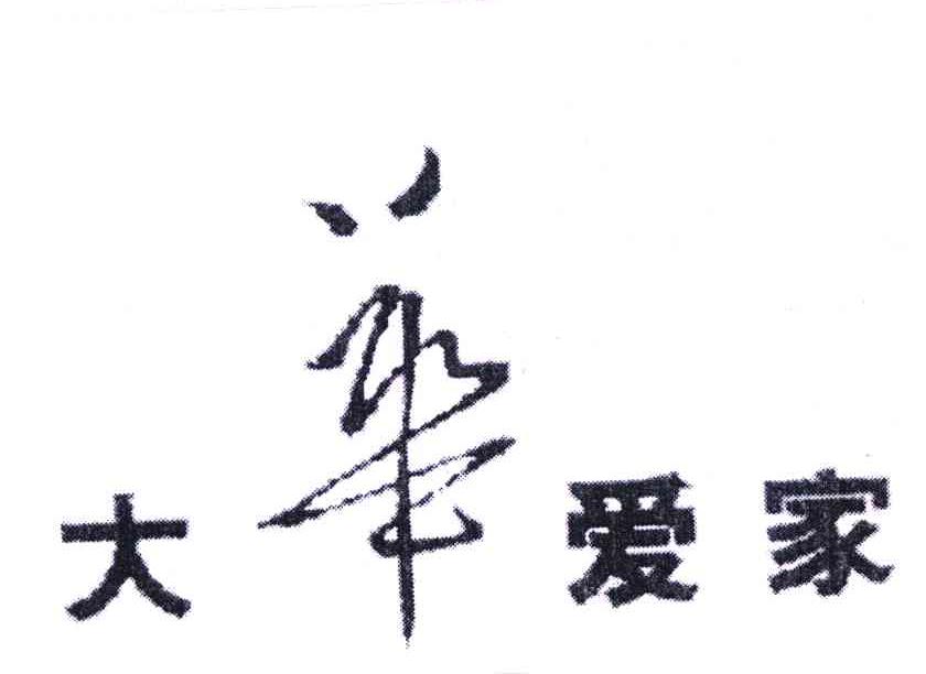 大华爱家