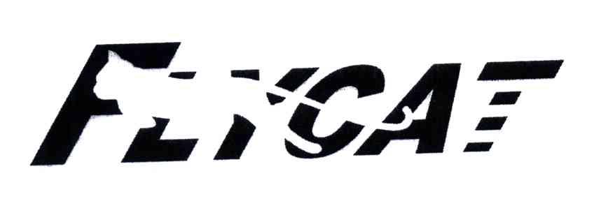 FLYCAT