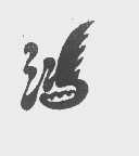 鸿