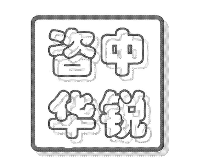 中锐咨华