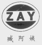 臧阿姨 ZAY