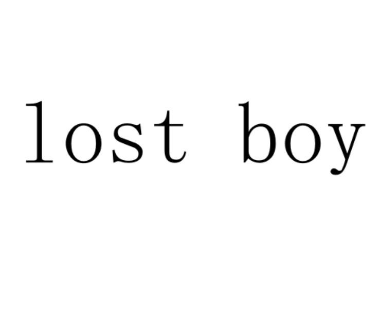 LOST BOY