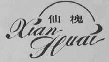 仙槐