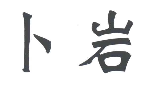 卜岩