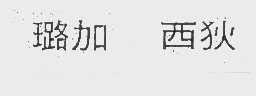 璐加 西狄