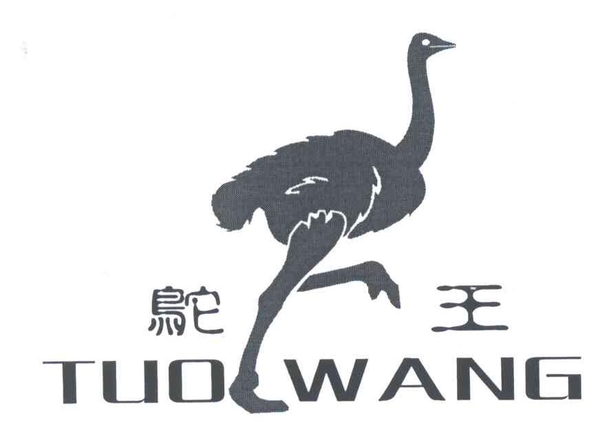 鸵王