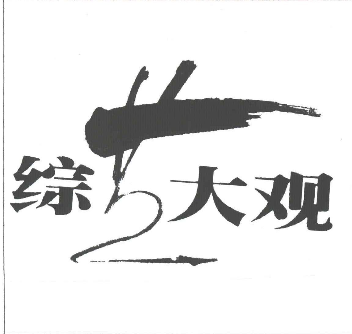 综艺大观