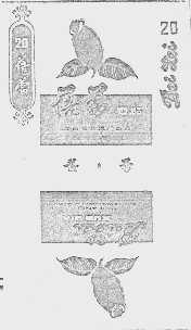 蓓蕾