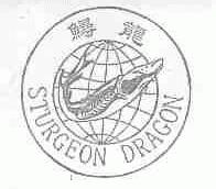 鲟龙;STURGEON DRAGON
