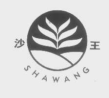 沙王