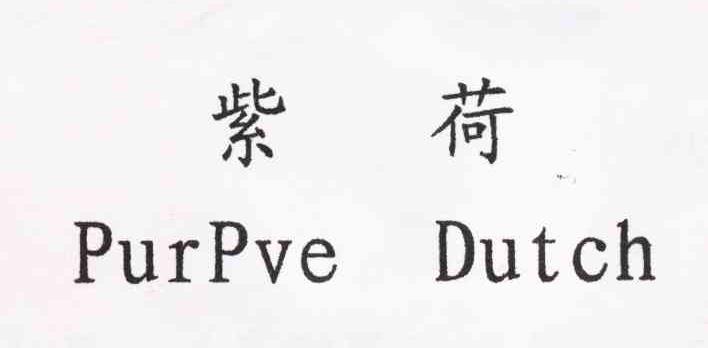 紫荷 PURPVE DUTCH