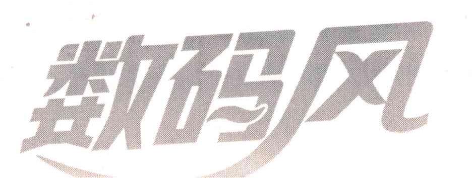 数码风