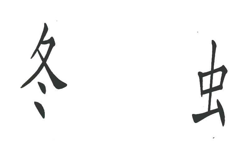 冬虫