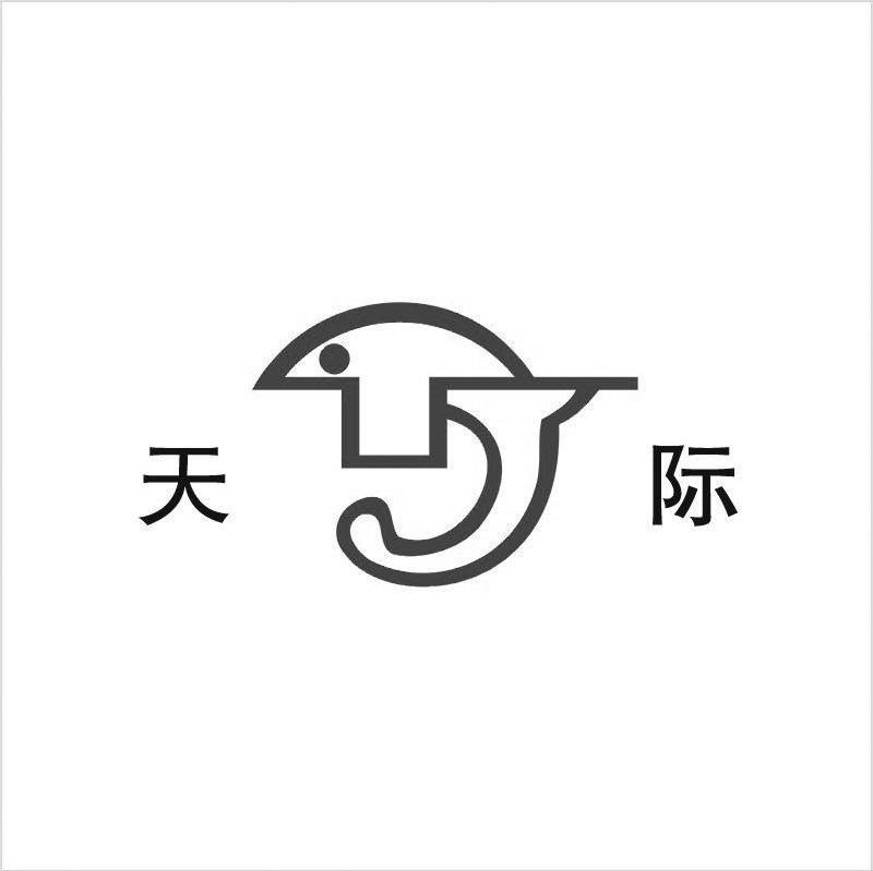天际 TJ