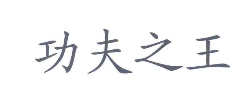 功夫之王