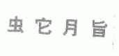 虫它月旨