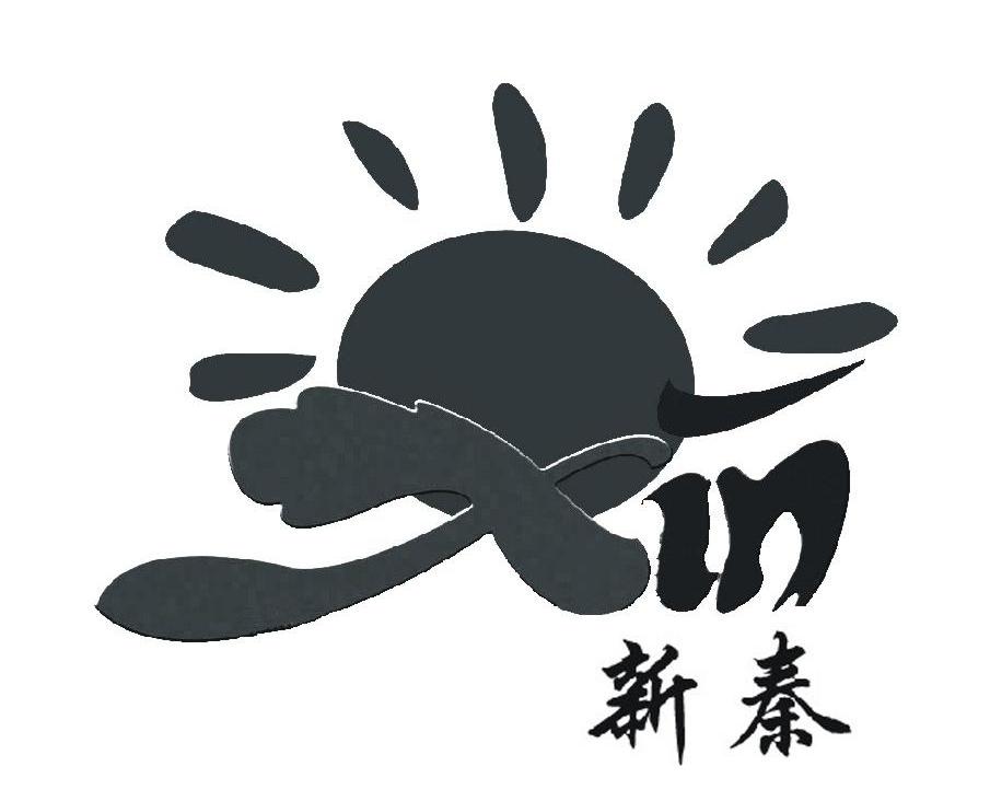 新秦;XIN
