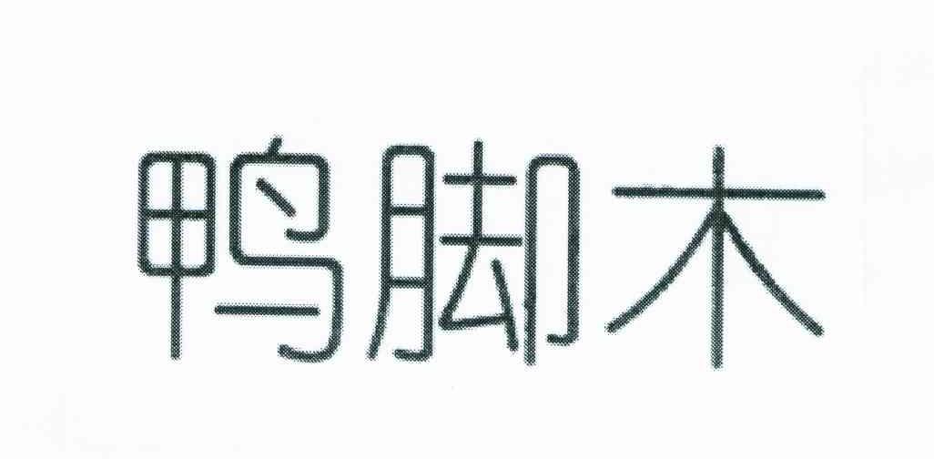 鸭脚木