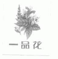一品花