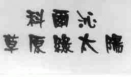 科尔沁草原绿太阳