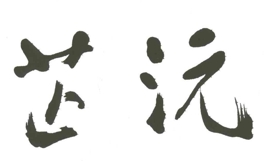 芷沅