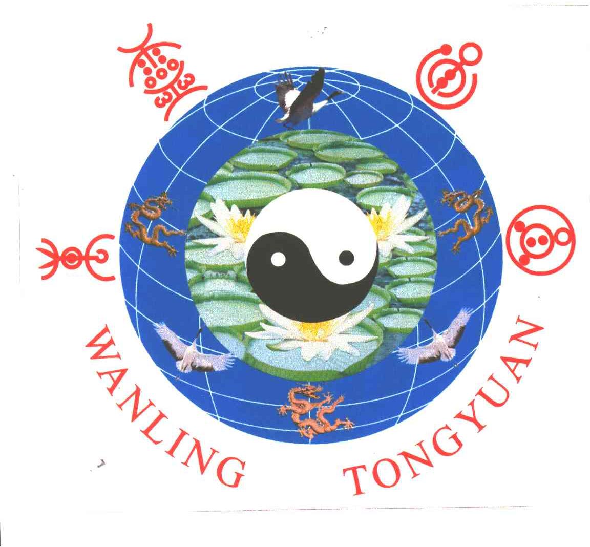 万灵通圆