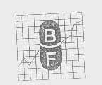 BF
