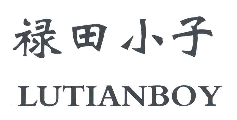 禄田小子LUTIANBOY