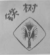铁树
