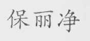 保丽净