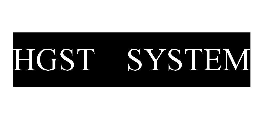 HGST SYSTEM