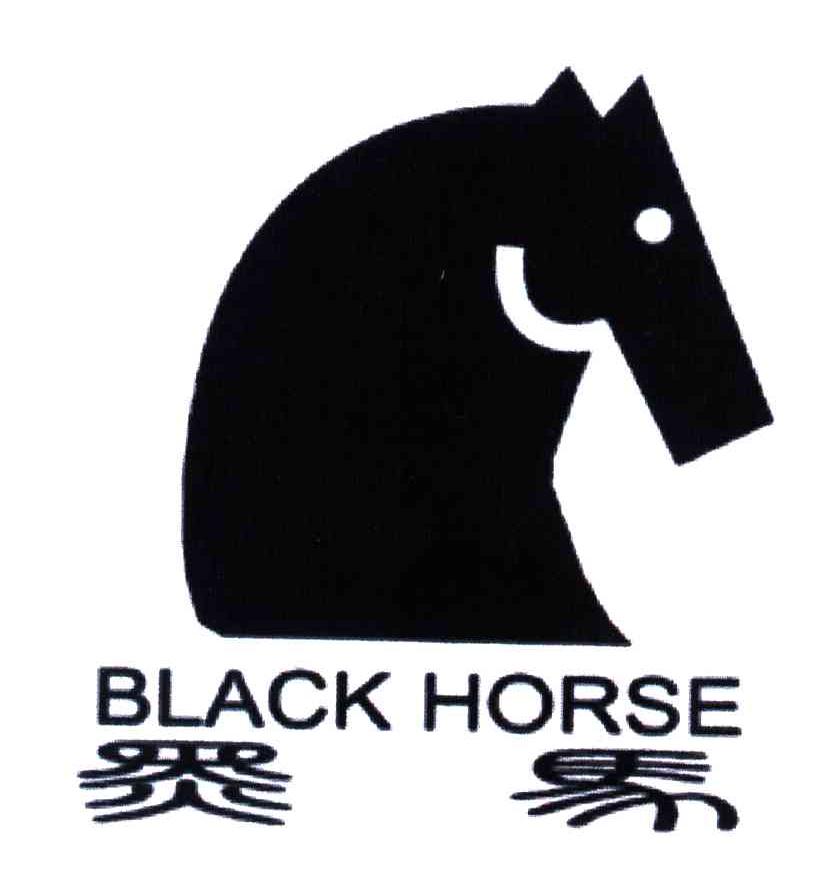 黑马;BLACK HORSE及图