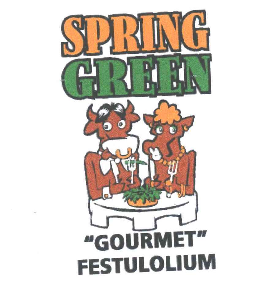 SPRING;GREEN;GOURMET
