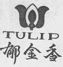 郁金香  TULIP