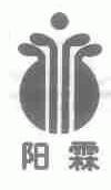 阳霖
