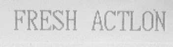 FRESH ACTION