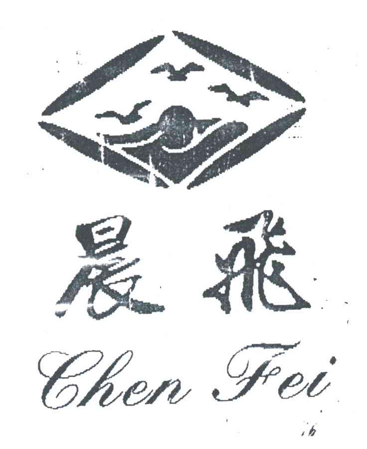晨飞