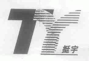 挺宇