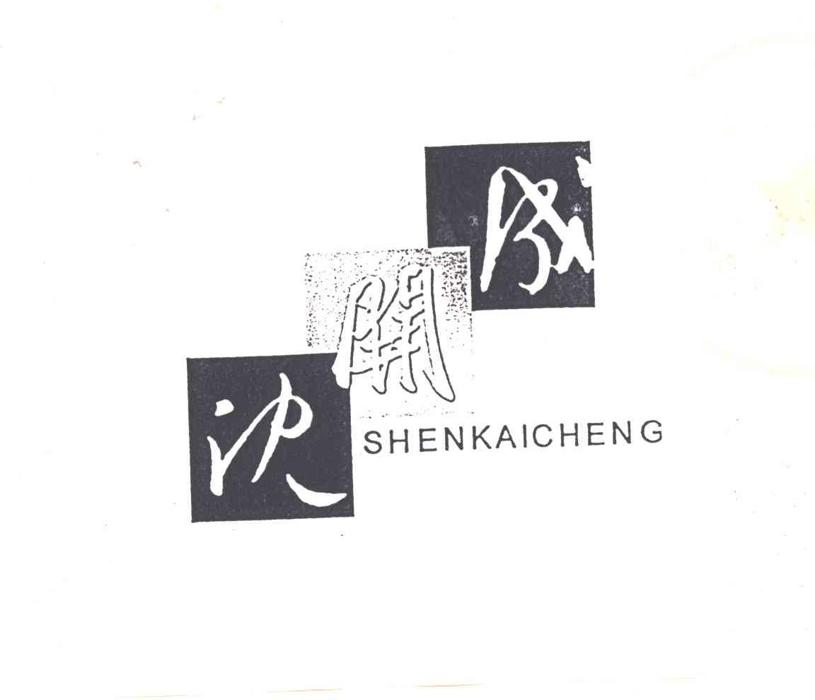 沈开成