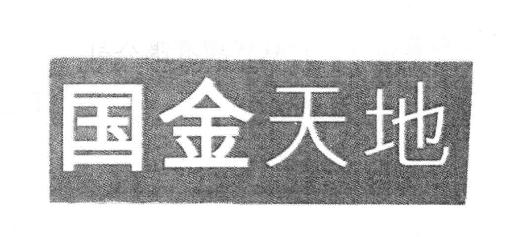 国金天地