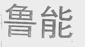鲁能