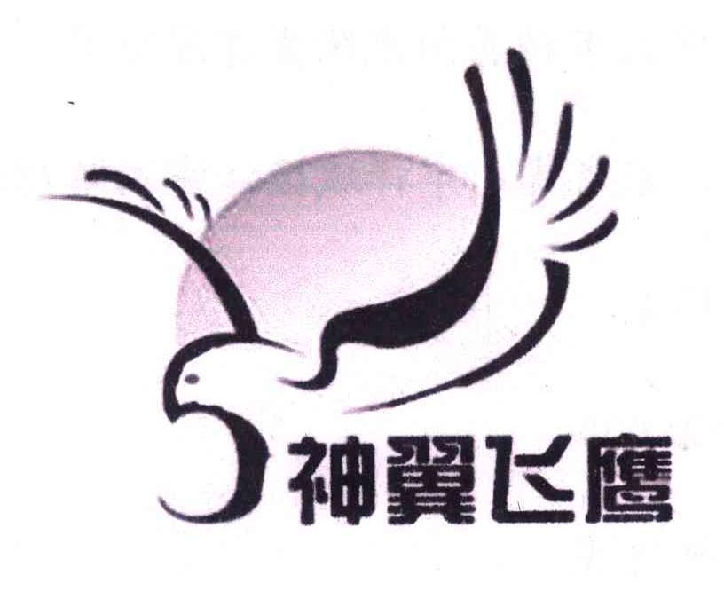 神翼飞鹰