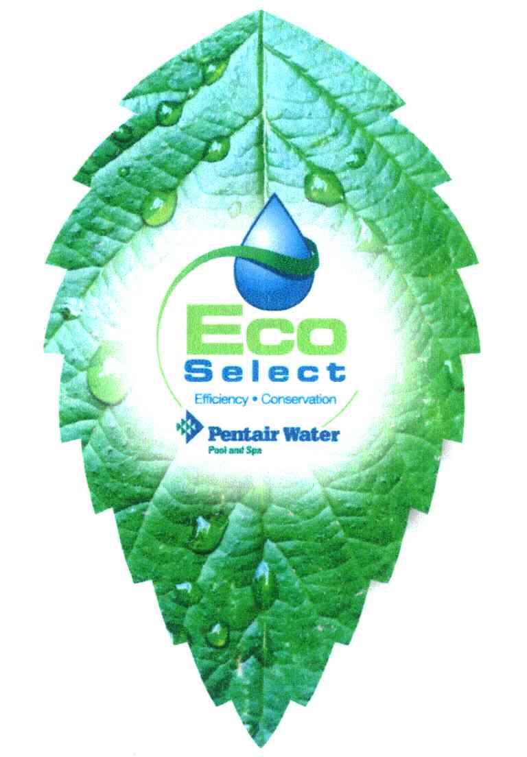 ECO SELECT EFFICIENCY&middot;CONSERVATION PENTAIR WATER POOL AND SPA