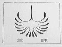 兰雁