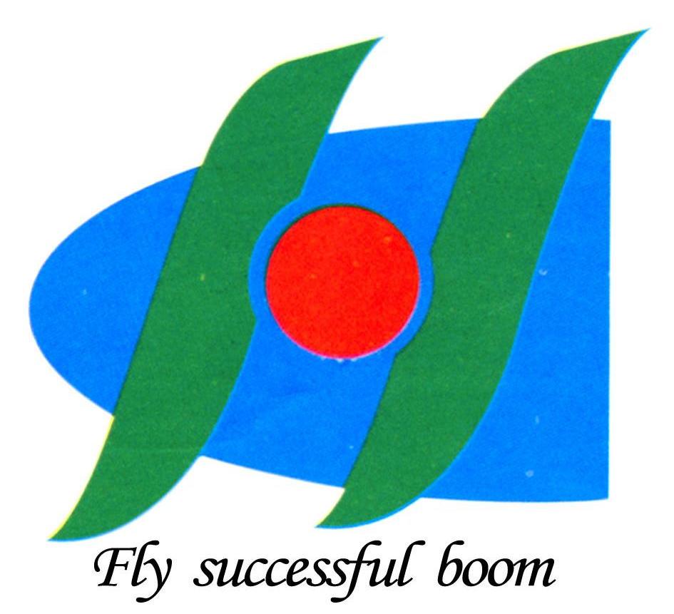 FLY SUCCESSFUL BOOM