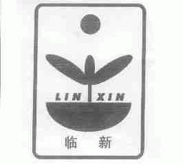 临新