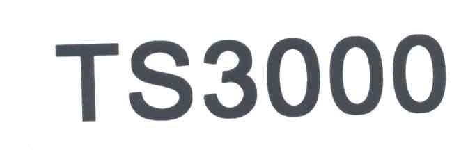 TS3000