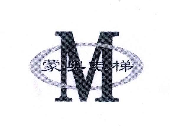 蒙奥电梯