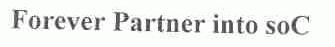 FOREUER PARTNER INTOSOC